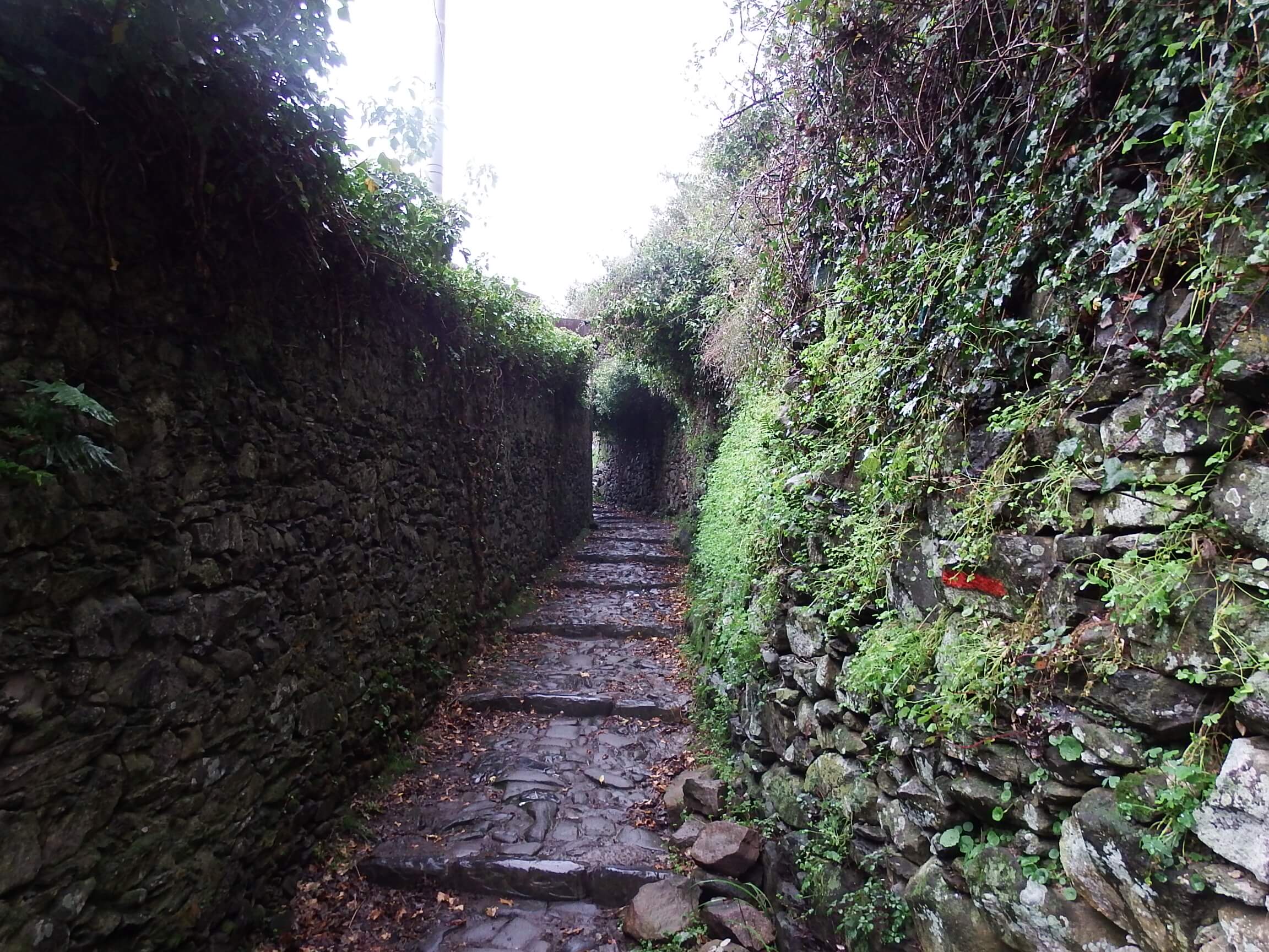 Cinque Terre